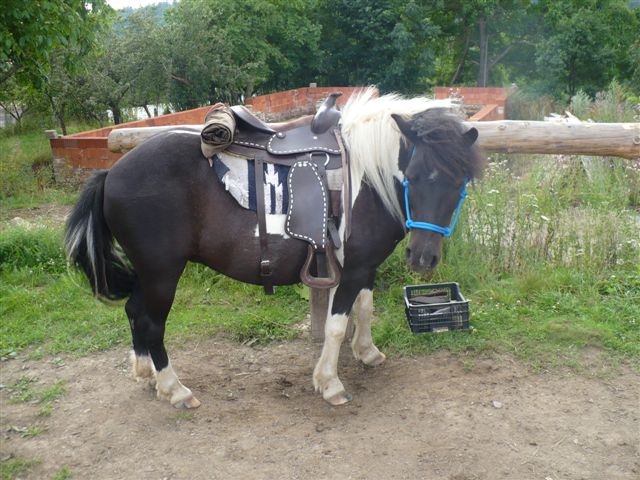 vyjizdky 2008 034.jpg
